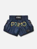 Shorts Muay Thai - Hologram Series - Valor Grey